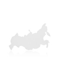 Магнит металлический «Карта России» 90х65х0.65 мм